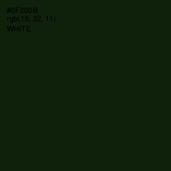 #0F200B - Palm Green Color Image